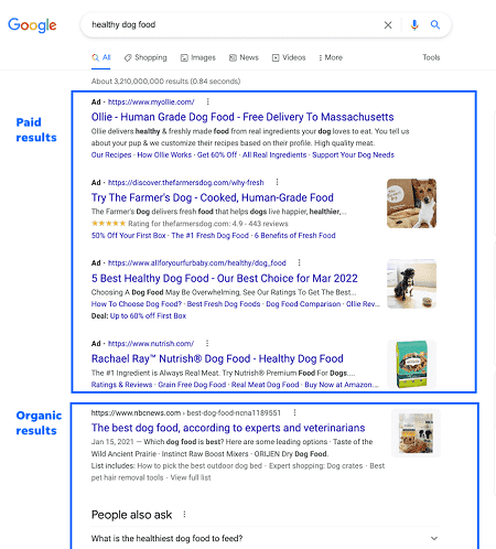 Paid Search Advertising Services
